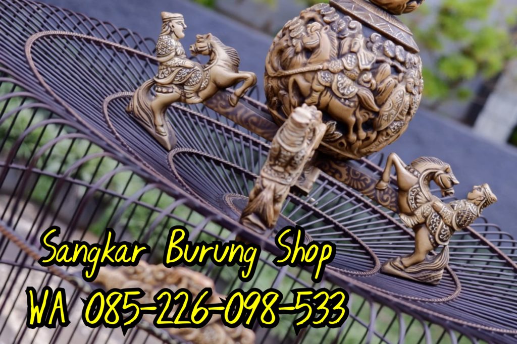 Sangkar Cungkok Murai Terbaru