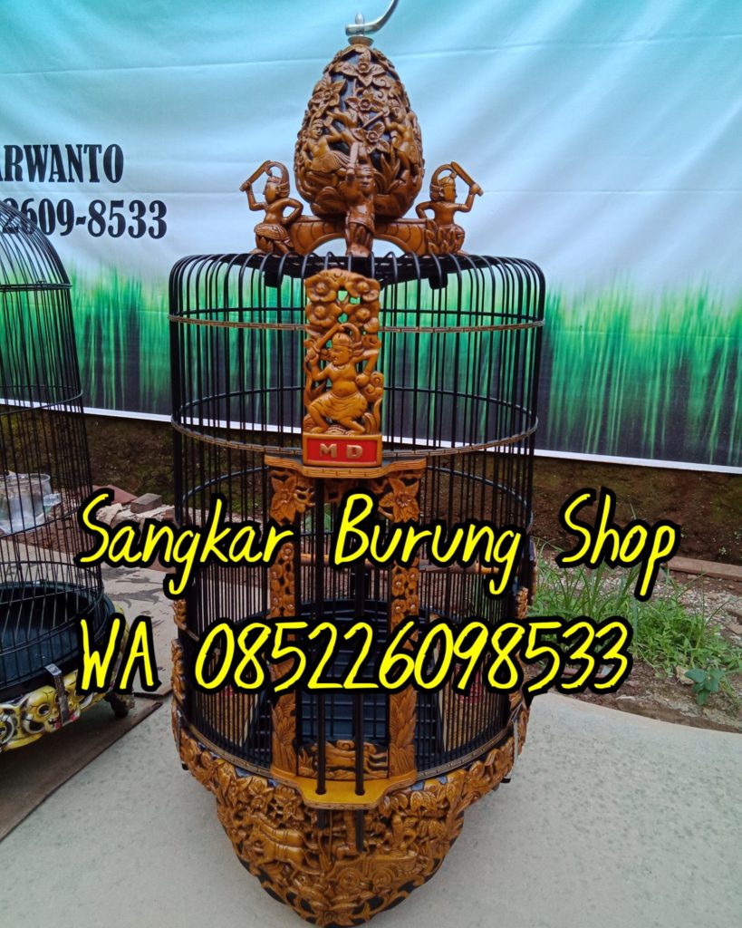 Sangkar Cungkok Anis Kembang