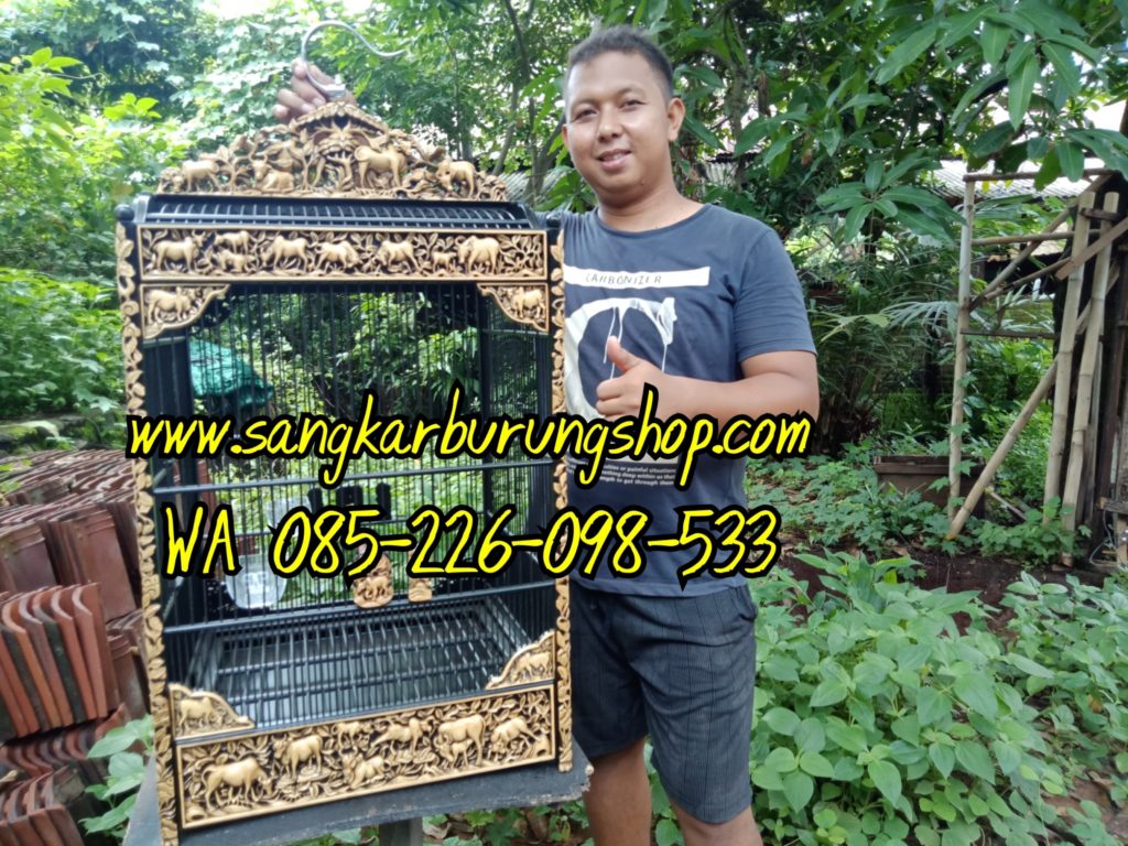 Sangkar Cucak Ijo