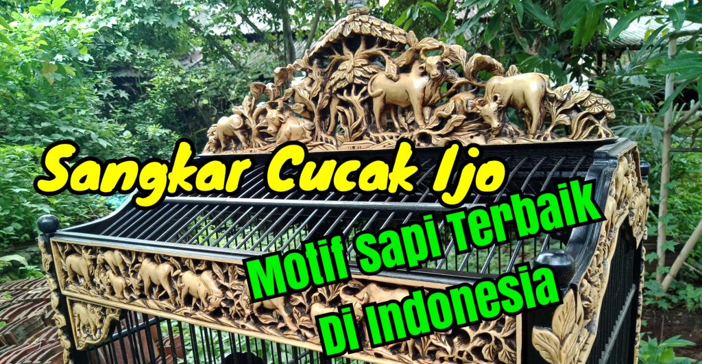 Sangkar Cungkok Cucak Ijo