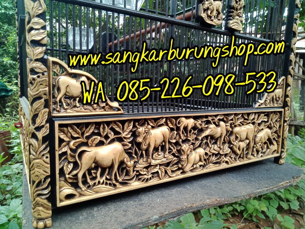 Sangkar Cungkok Cucak Ijo