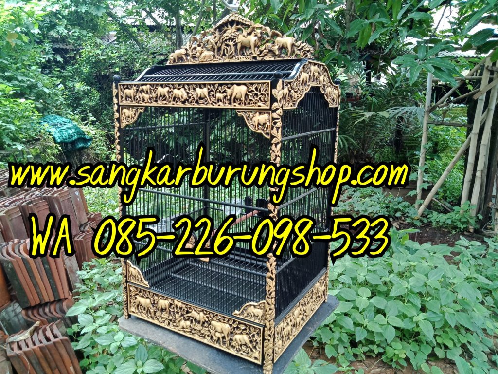 Sangkar Cungkok Cucak Ijo