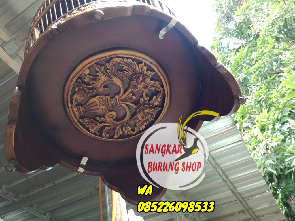 Harga Sangkar Perkutut Termahal