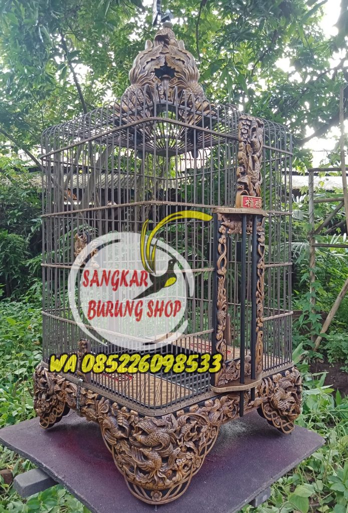 Sangkar Cungkok Anis Merah