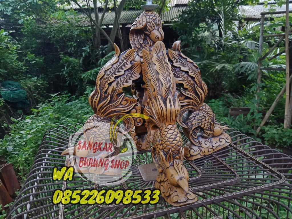 Sangkar Cungkok Anis