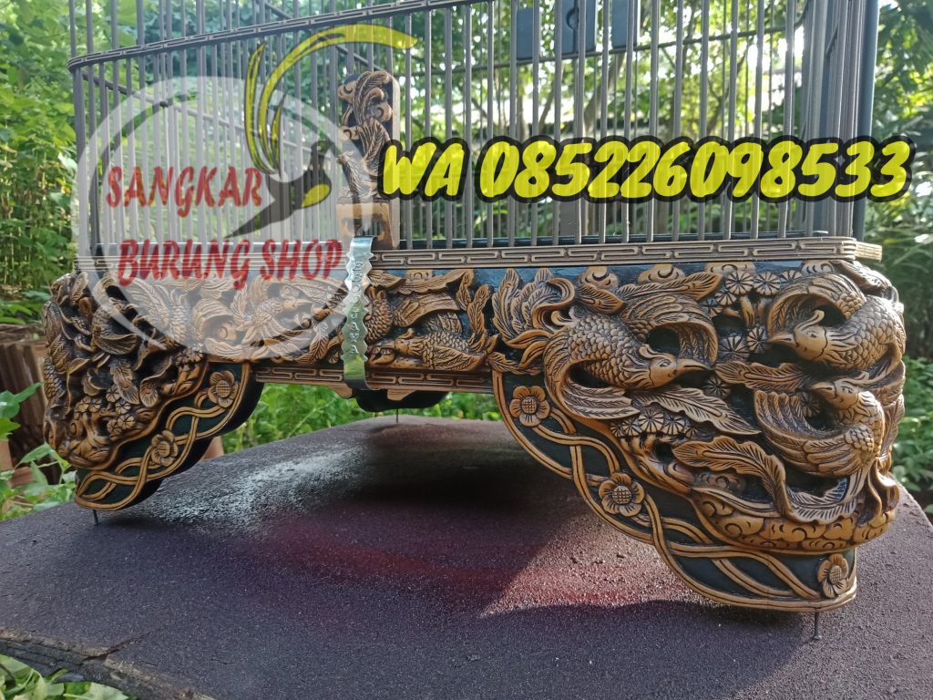 Sangkar Cungkok Anis Merah