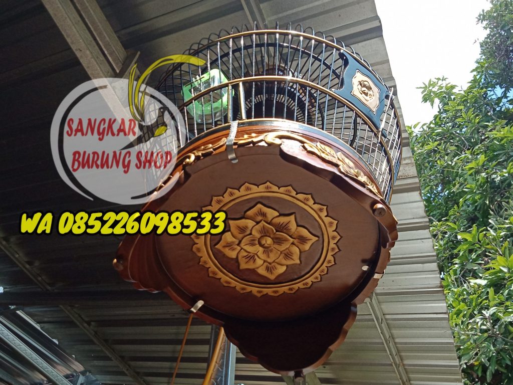 Jual Sangkar Derkuku