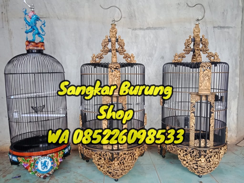 Jual Sangkar Cungkok Anis
