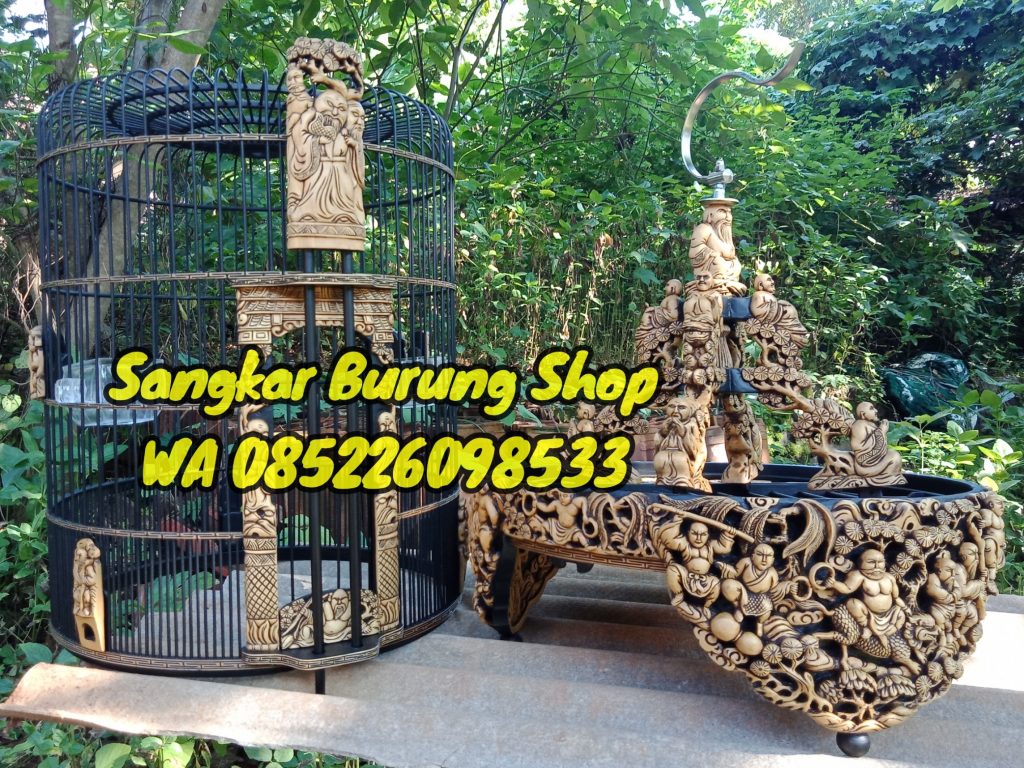 Sangkar Cungkok Anis Merah