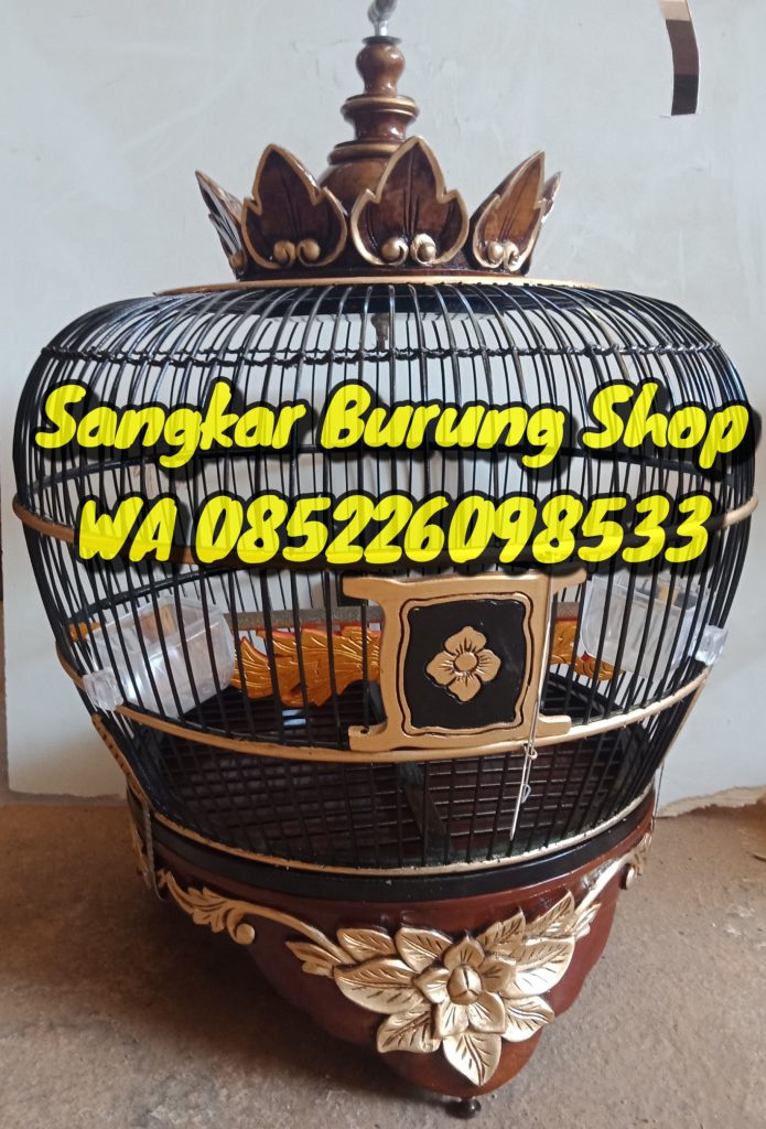 Jual Sangkar Puter Pelung