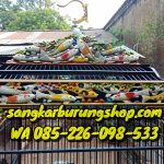 Jual Sangkar Cucak Rowo Ukir Jepara