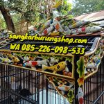 Jual Sangkar Cucak Rowo Ukir Jepara