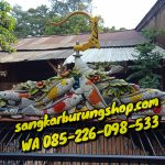 Jual Sangkar Cucak Rowo Ukir Jepara