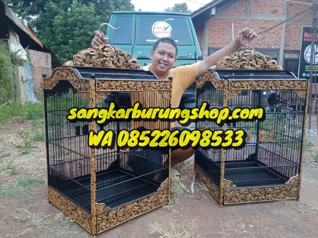 Sangkar Cungkok 9 Naga