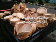 Jual Tebok Love Bird Mentahan