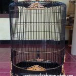 Sangkar Murai Ukir Jepara Motif Kelelawar 3D