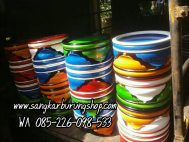 Jual Tebok Lovebird Cincin