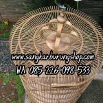 Sangkar Murai Jati Mentah