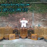 Sangkar Kacer Ukir Naga 3D