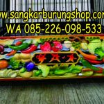 Sangkar Burung Ukir Buah Kacer