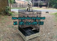 Sangkar Ukir Cucak Ijo