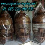 Sangkar Perkutut
