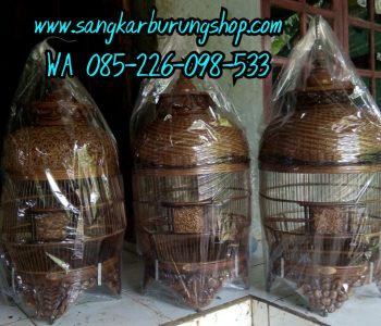 Sangkar Perkutut