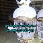 Sangkar Burung Perkutut Ukir