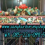 Sangkar Burung Ukir Relief Ayam