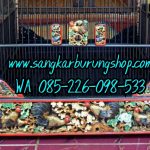Sangkar Burung Ukir Relief Ayam