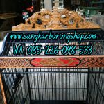 Sangkar Ukir Kacer Naga
