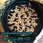 Tebok Lovebird Ukir Dewa