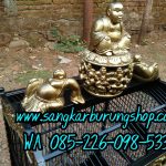 Sangkar Ukir Kacer Lomba