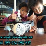 Tebok Lovebird Ukir Semar Mesem