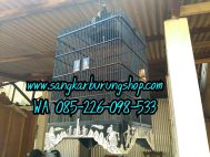 Sangkar Ukir Cucak Hijau