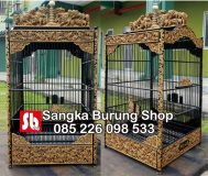 Sangkar Cungkok Asli China