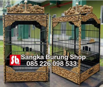 Sangkar Cungkok Asli China
