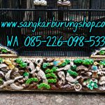 Sangkar Ukir Cucak Rowo