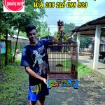Sangkar Ukir Naga Oval Tanpa Tiang