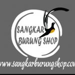 Tebok Ukir Tengkorak