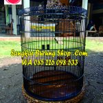 Sangkar Murai Ukir Jepara