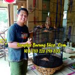 Sangkar Murai Ukir Jepara