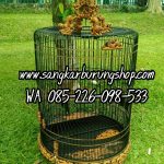 Sangkar Ukir Murai Shio