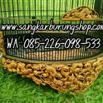Sangkar Ukir Murai Shio