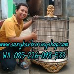 Sangkar Ukir Murai Shio
