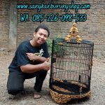Sangkar Ukir Jepara Murai