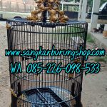 Sangkar Ukir Jepara Murai