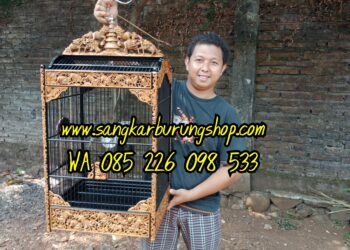 Sangkar Cungkok Jepara