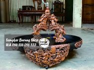 Jual Sangkar Cungkok Murai