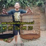 Jual Sangkar Murai Ukir Wayang
